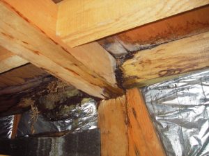 加熱する中古住宅市場に改めて問う“安心”の質<br>「建物状況調査済み」でも見逃される5つの落とし穴とは